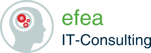 efea IT-Consulting